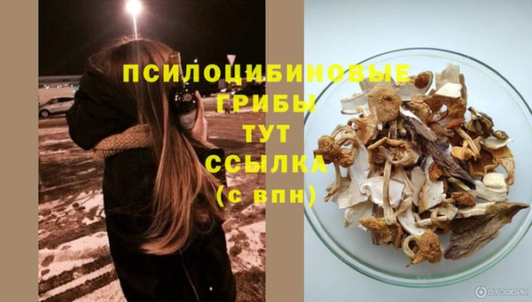 спайс Абаза
