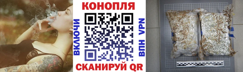 купить наркотик  Котельнич  Бошки Шишки индика 